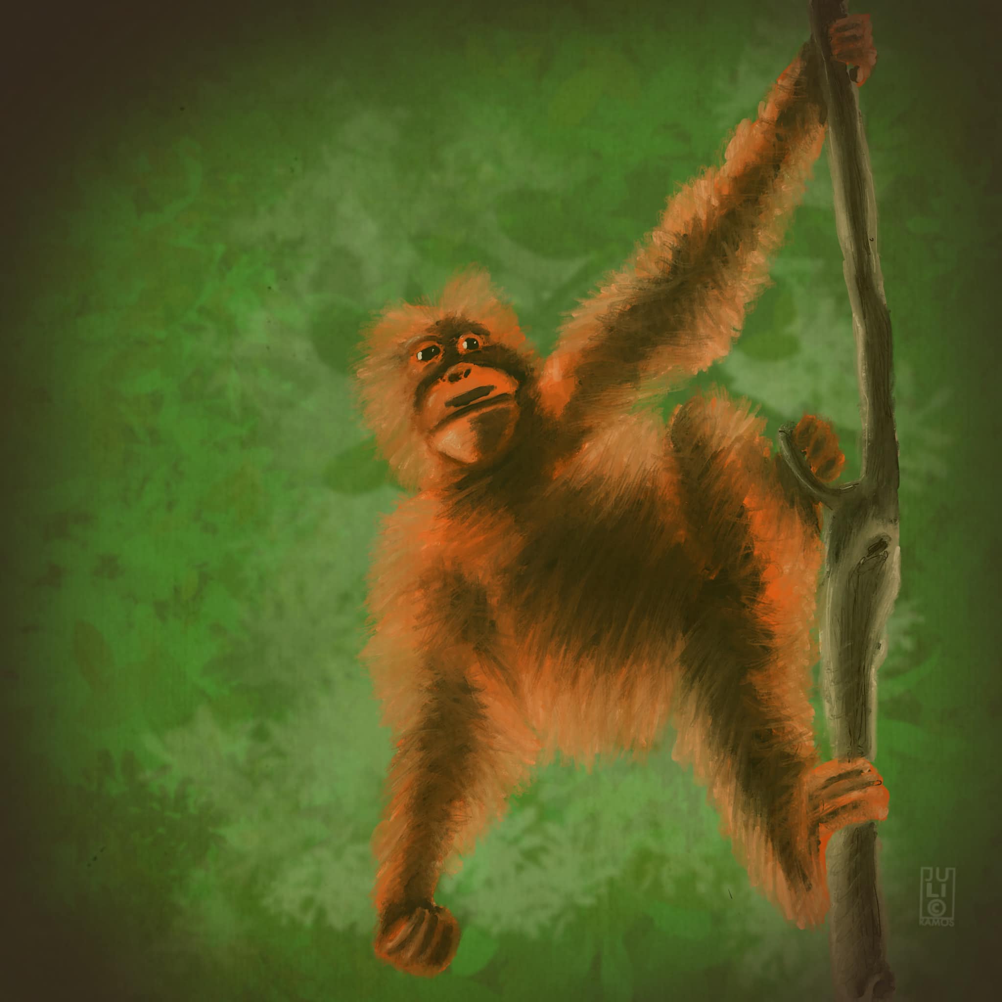 27 Climb Inktober 52 2023 Orangutanito